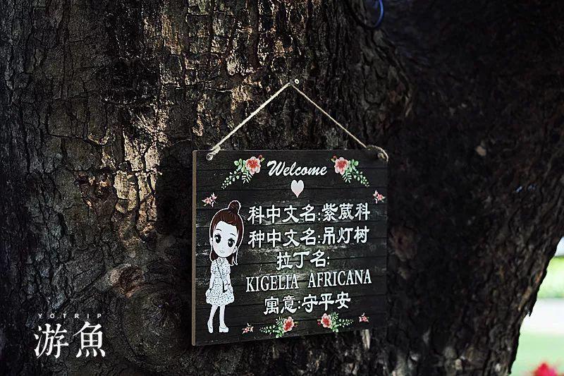 【向您报告 | 2023•检察】 曲阳县检察院:百尺竿头思更进,年终岁尾谋新篇